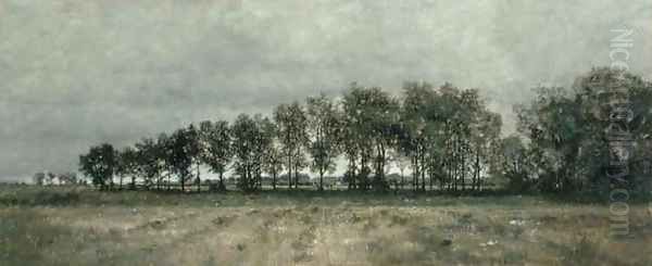 On the Edge of the Wood - view 1