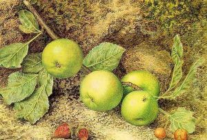 Still Life with Fruit and Fly 1873 by John William Hill