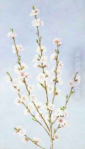 Peach Blossoms by John William Hill