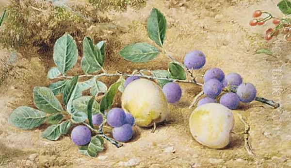 Plums - view 1