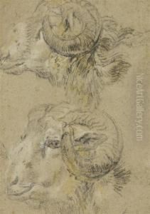 Study Of Two Rams' Heads by Nicolaes Berchem