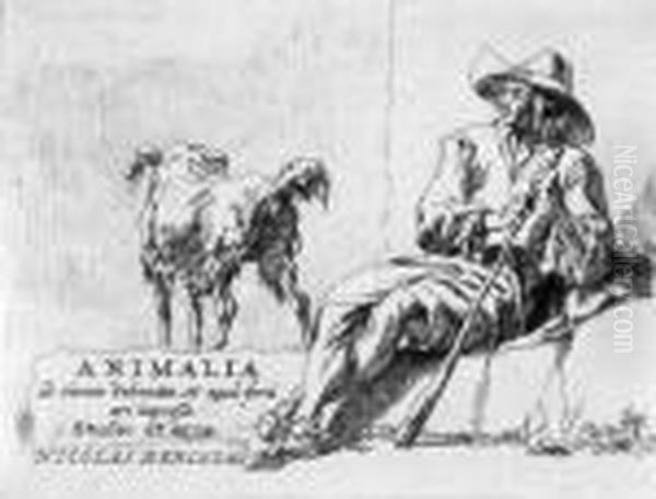 Animalia - view 1
