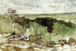 A view of Mont Ussy in the forest of Fontainebleau