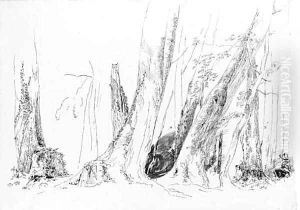 Studies of trees in the forest at Compiegne by Paul Huet