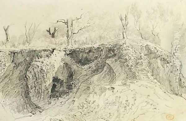 An eroded bank - view 1
