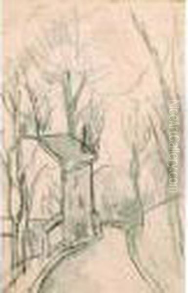 Rue Arboree. - view 1