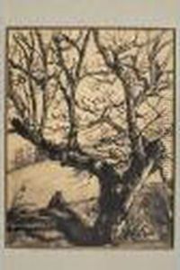 Paysage Avec Arbre Paysage Avec Arbre