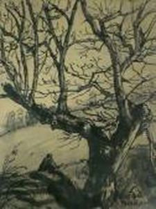 Le Vieil Arbre Le Vieil Arbre