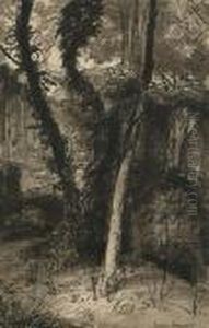 Woods And Ruins Beyond.