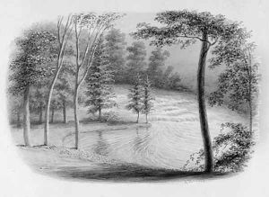 A Brook (from Hosack Album) by George Harvey