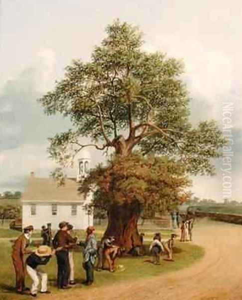 The Apostles Oak - view 1