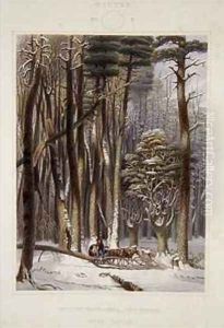 Winter Impeded Travellers in a Pine Forest from Harveys Scenes of the Primitive Forest of America by George Harvey