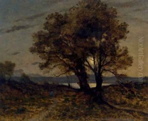 Paysage Au Clair de Lune
