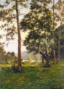 Les bouleaux