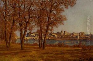 Le Chateau Des Papes A Avignon