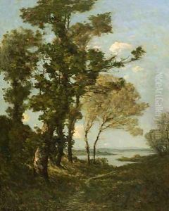 Paysage d'été de la Saint-Martin