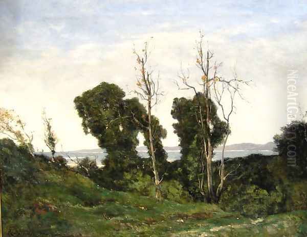 Landscape in evening light - view 1