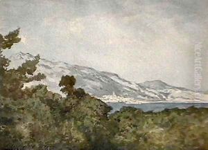 Vue sur la cote Villefranche