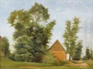 Etude D'arbres Etude D'arbres
