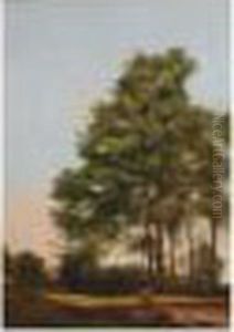 Etude D'arbres Etude D'arbres