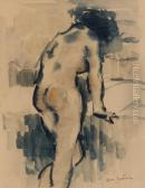Modele De Dos - view 1