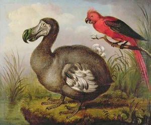 Dodo and Red Parakeet by William Hodges