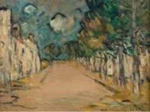 Route Bordee D'arbres Route Bordee D'arbres