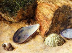 Still Life With Sea Shells On A Mossy Bank by William Henry Hunt