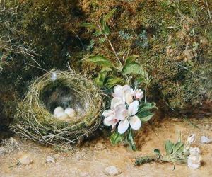Birds Nest with Sprays of Apple Blossoms by William Henry Hunt