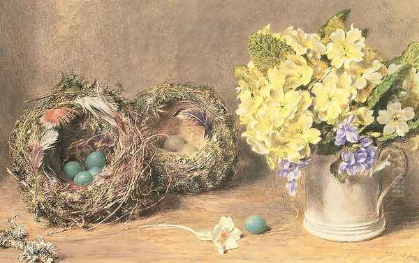 Spring Flowers and Birds Nests - view 1