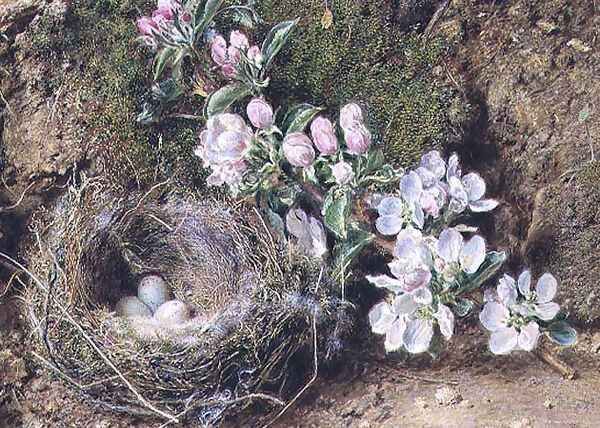 Branch of Apple Blossom and Birds Nest - view 1