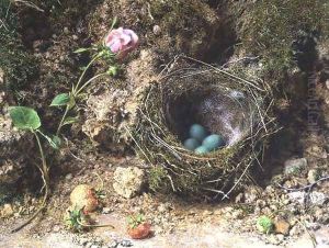 Still life with birds nest