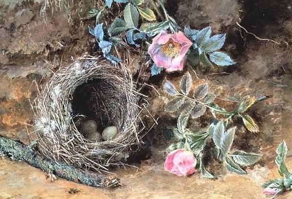Wild Roses and Birds Nests - view 1