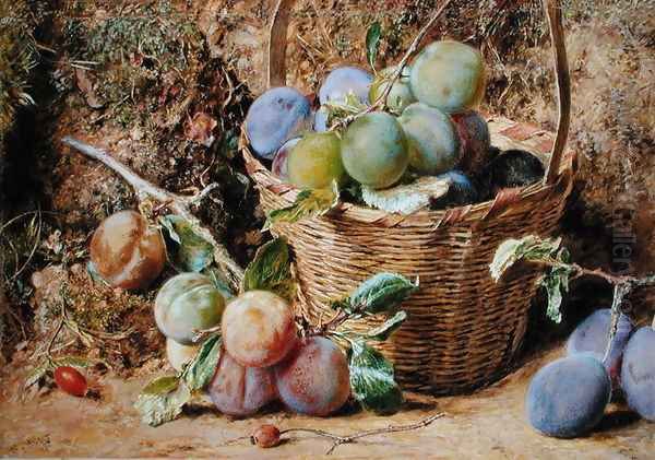 Plums - view 1