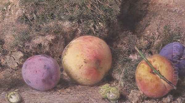 Still Life - view 1