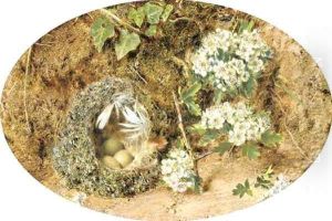 Still-life with birds nest and hawthorne on a mossy bank by William Henry Hunt