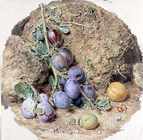 Plums 2 - view 1