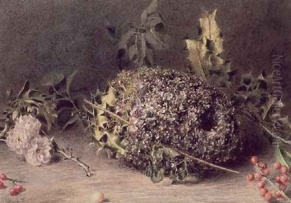 Long Tailed Tits Nest - view 1