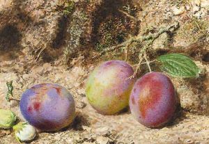 Still life with plums and hazelnuts on a mossy bank by William Henry Hunt