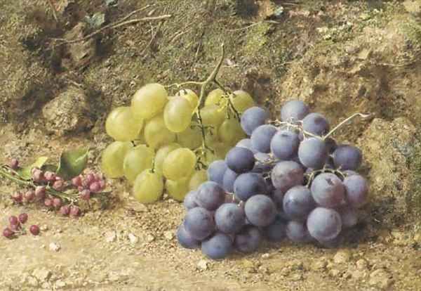 Still-life with white and black grapes and redcurrents - view 1