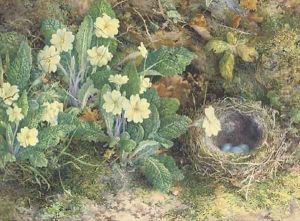 Primulas and a bird's nest on a mossy bank