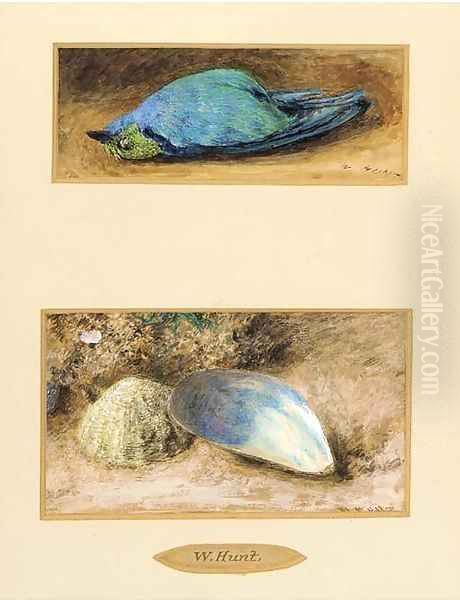 Still life of a dead bird; and Still life of two shells on a mossy bank - view 1