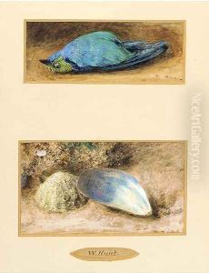 Still life of a dead bird; and Still life of two shells on a mossy bank by William Henry Hunt
