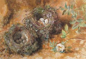 Still life with birds' nests by William Henry Hunt