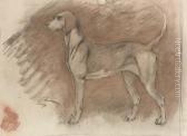 Hound At Attention - view 1