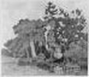 The Plantation (d.37)
