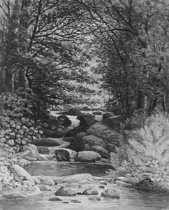 A Forest Cascade at Hiram, Maine by Henry Hitchings