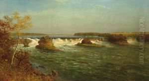 The Falls Of Saint Anthony by Albert Bierstadt