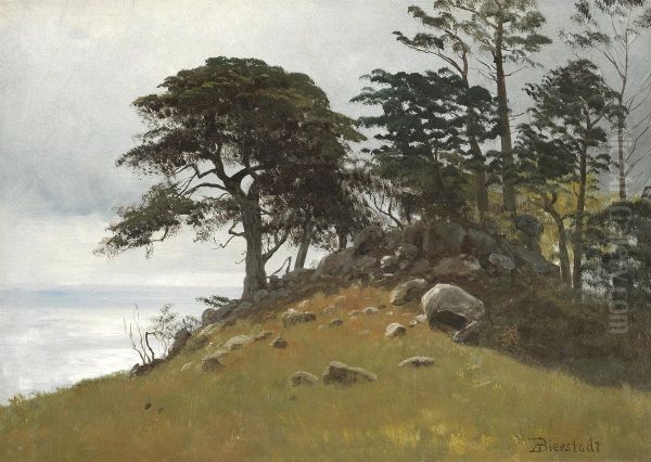 Cypress Point, Monterey - view 1