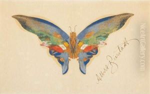 Butterfly by Albert Bierstadt